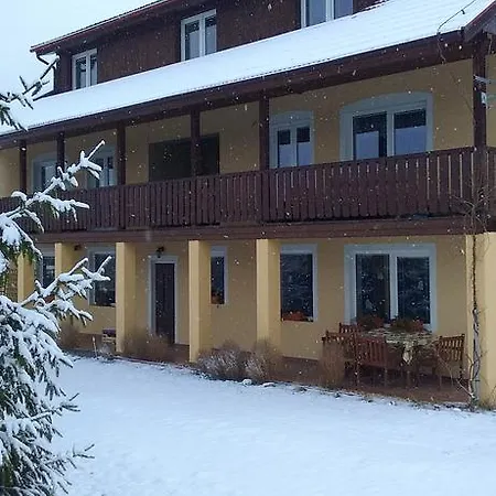 Boroví *