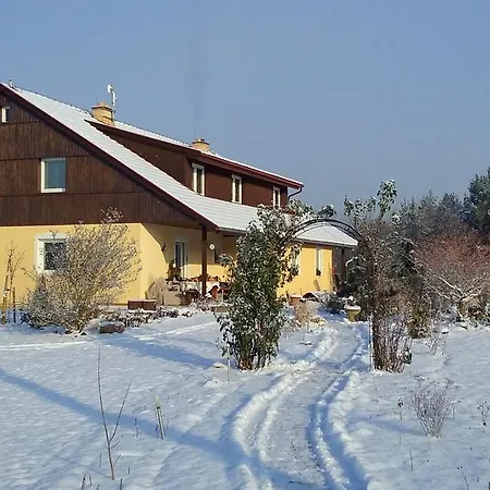 Borovi Daire *