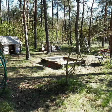 Boroví