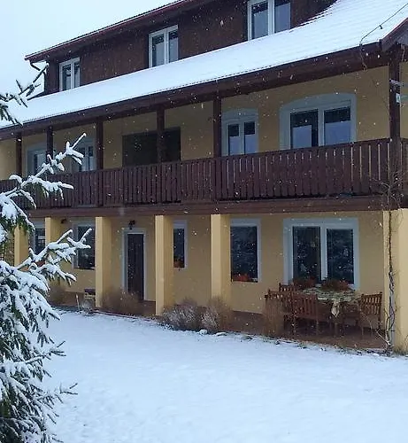 Borovi *