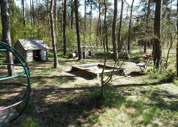 Borovi